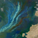 Illustration for article titled A massive and illegal geoengineering project has been detected off Canada's west coast
